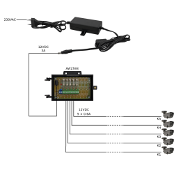 PULSAR - AWZ593 PULSAR - AWZ593